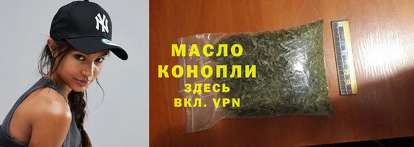 прущие крисы Каменка