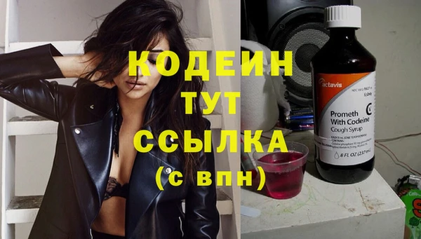 прущие крисы Каменка