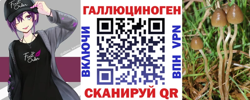 Псилоцибиновые грибы ЛСД  Купить закладки  Верхняя Пышма 
