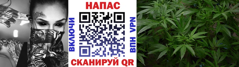 Канабис планчик  Купить закладки  Верхняя Пышма 